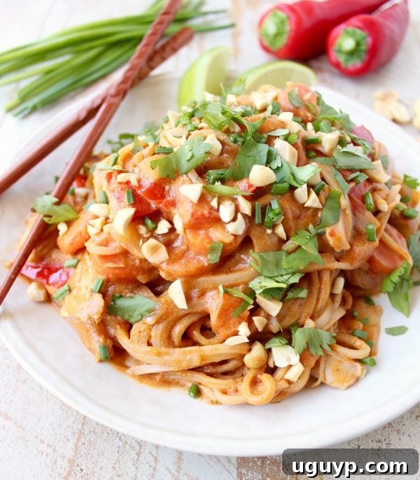 Creamy Thai peanut sauce blended and ready to be poured into the slow cooker over the chicken and vegetables.