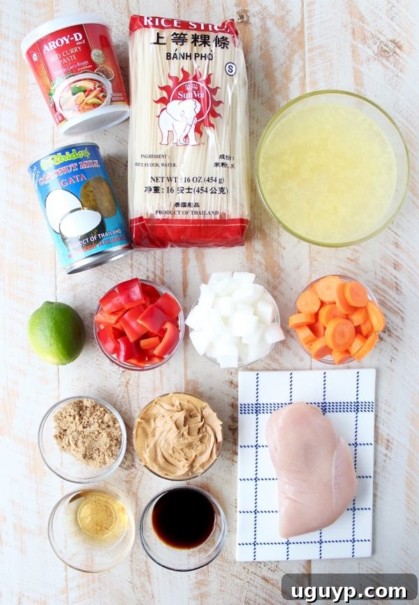 Shredded chicken and rice noodles perfectly coated in the rich, slow-cooked Thai peanut sauce, ready to be served.