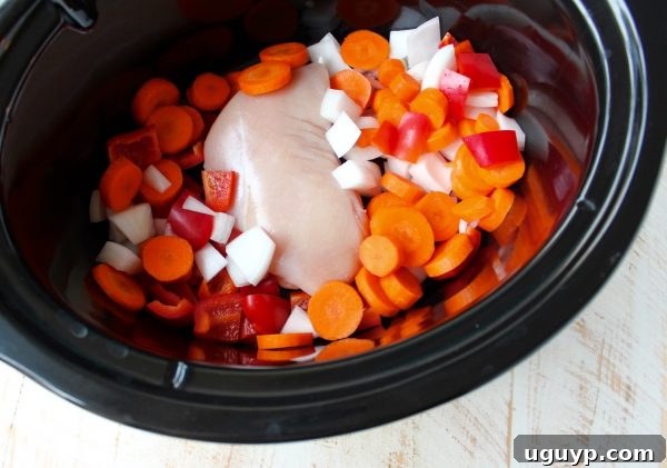 Chicken, onions, carrots, and bell peppers neatly arranged in the bottom of a slow cooker before adding sauce.