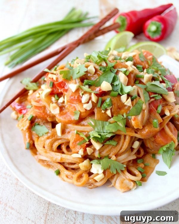 A close-up shot of a single serving of Slow Cooker Thai Peanut Chicken Noodles, highlighting the rich sauce and tender ingredients.