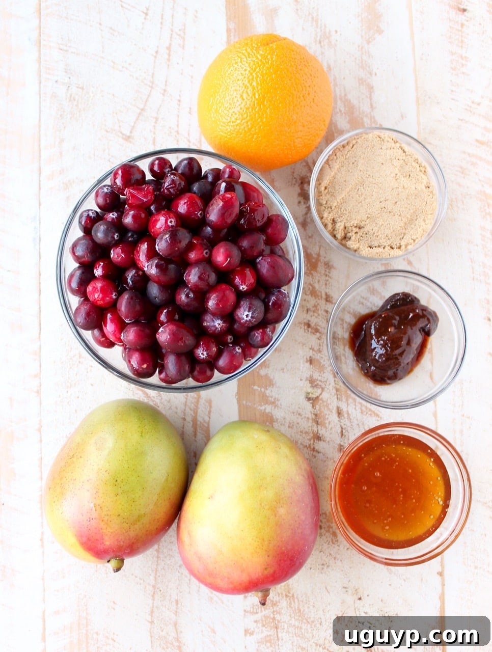 Chipotle peppers & fresh mango add smokey, sweet & tropical flavors to a traditional cranberry sauce, delicious as a ham glaze or perfect served with turkey!