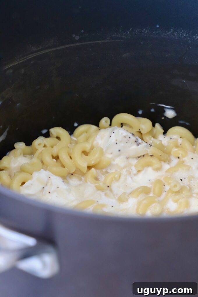 cooked macaroni noodles in pot with milk and cheese
