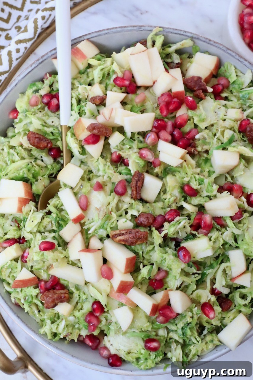 A vibrant shaved Brussels Sprout Salad in a rustic bowl with a serving spoon, garnished with fresh pomegranate seeds and apple slices, perfect for fall and holiday gatherings.