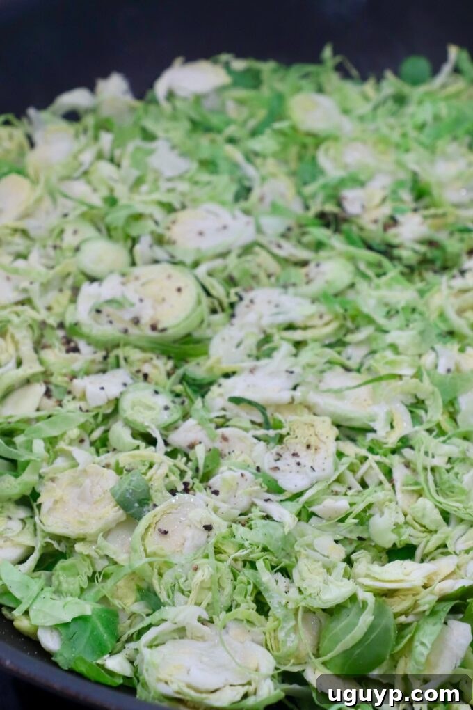 Thinly shredded Brussels sprouts being sautéed in a large non-stick skillet on a gas stovetop, with a spatula gently turning them to ensure even cooking.