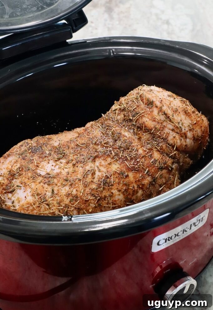 Seasoned turkey breast carefully placed into a Crock Pot
