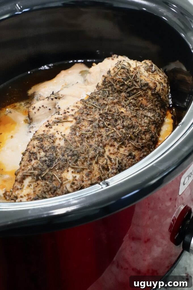 Cooked seasoned turkey breast resting in a Crock Pot