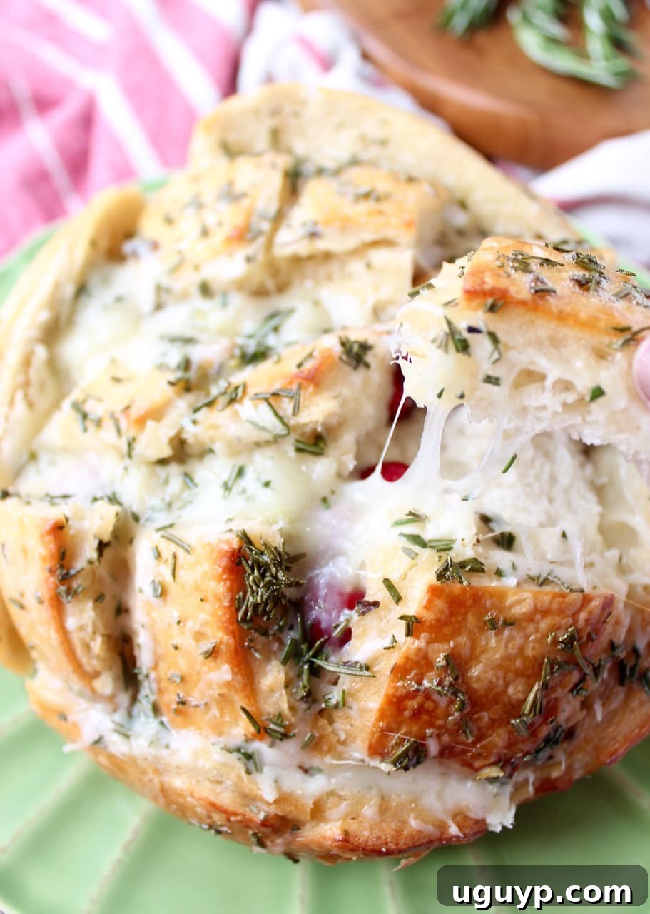 Close-up of golden-brown pull apart bread stuffed with turkey, cranberry sauce, and melted mozzarella, served on a wooden board, highlighting its appealing texture and rich fillings.