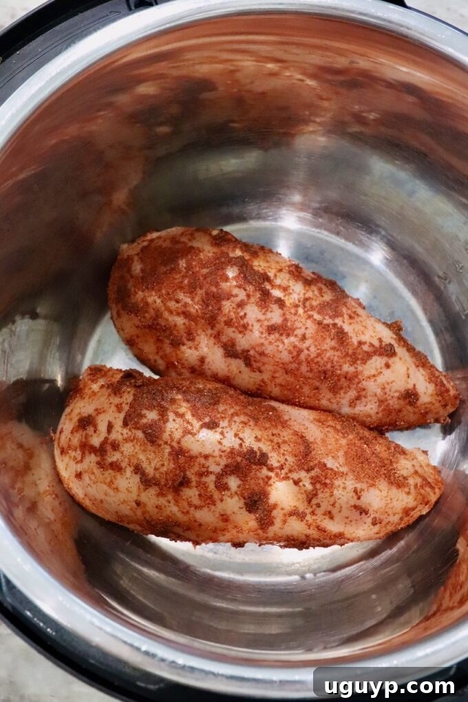 Chicken breasts seasoned and placed inside an Instant Pot, ready for cooking.