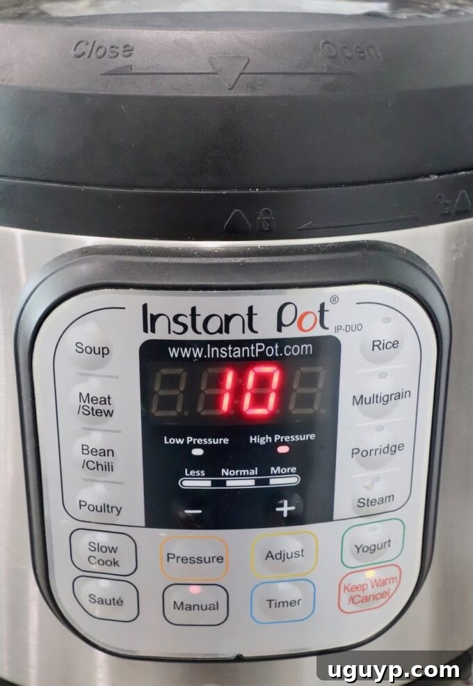 An Instant Pot displaying a 10-minute countdown on its timer, indicating active cooking.