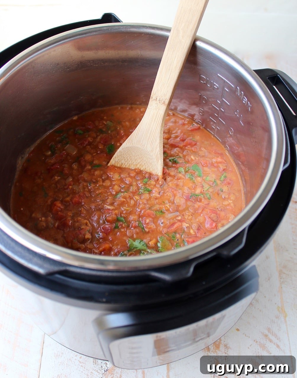 Lentils and chicken in a rich, spiced sauce in an Instant Pot, with a wooden spoon for serving