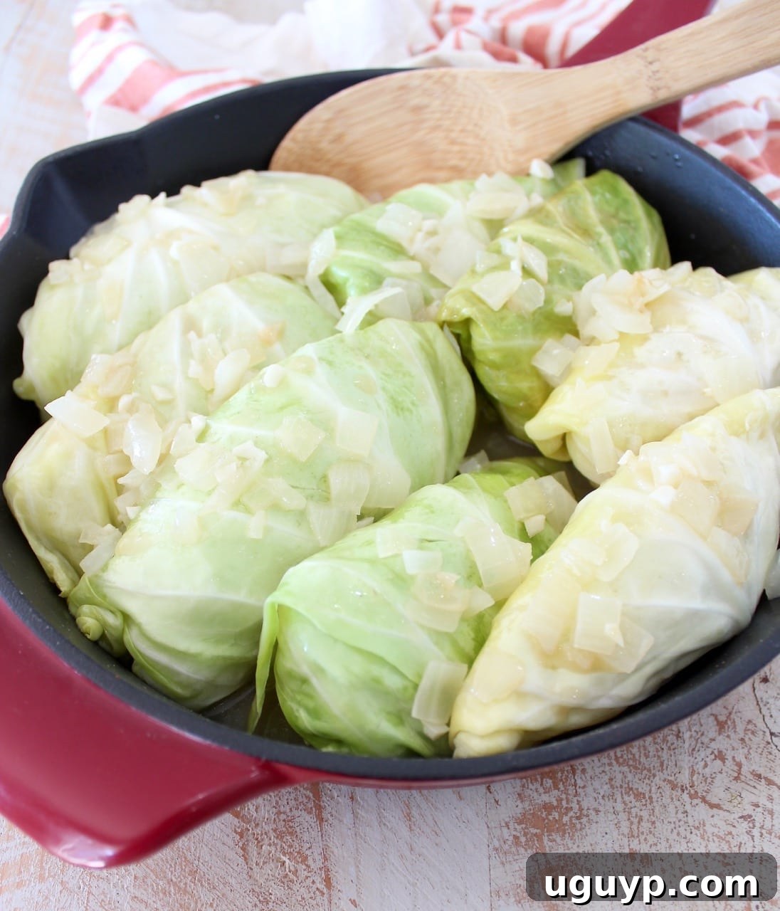 Close-up of German Cabbage Rolls, highlighting their tender cabbage leaves and savory pork and sauerkraut filling.