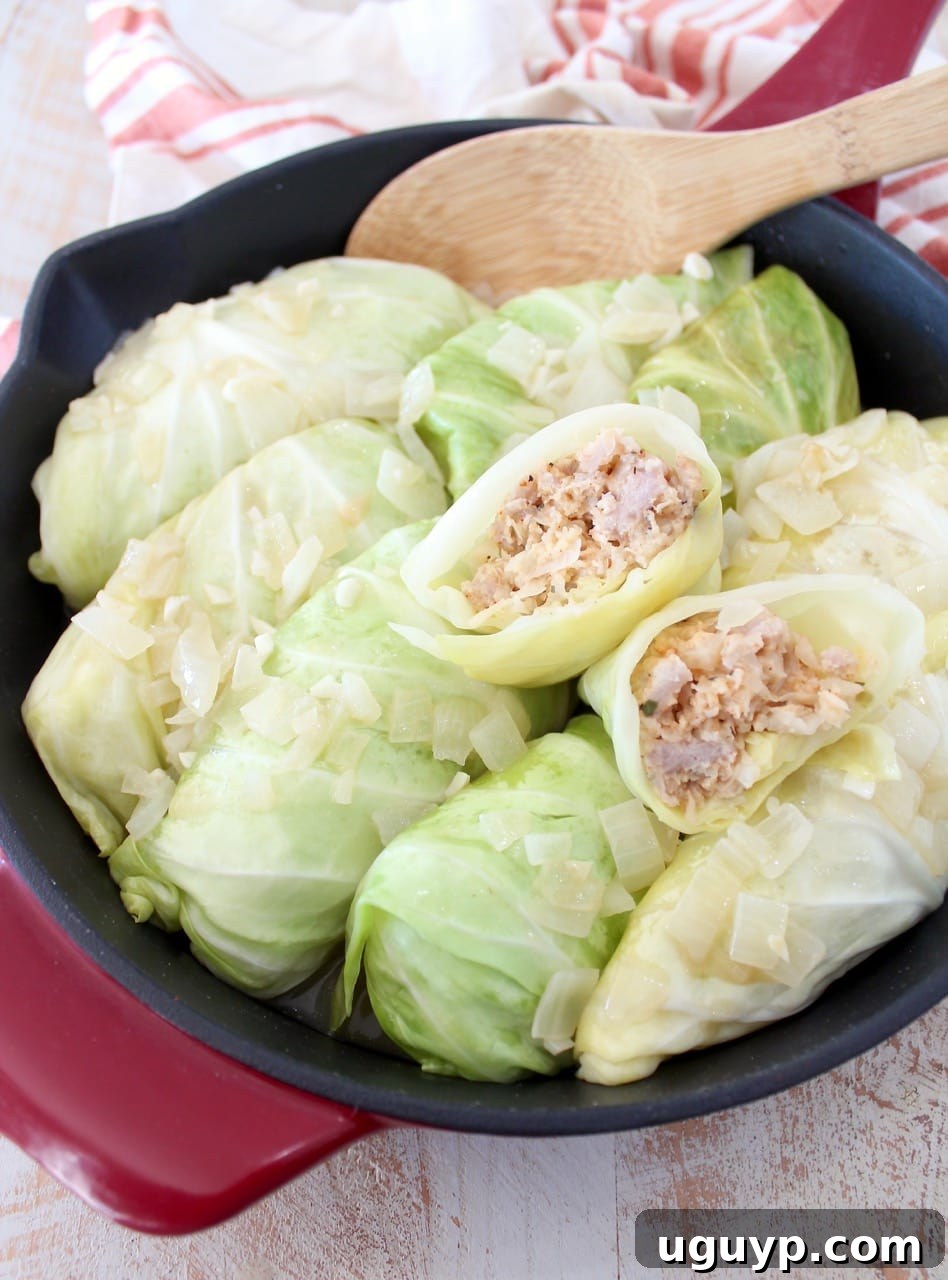 A serving of German Cabbage Rolls garnished with fresh herbs, showcasing their succulent interior.