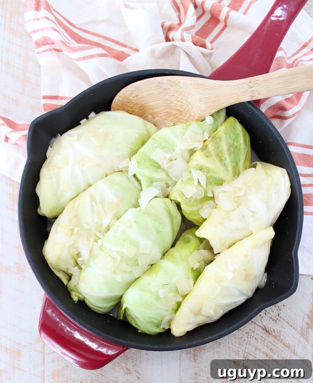 A close-up shot of the savory Pork and Sauerkraut Cabbage Rolls, showcasing the tender cabbage leaves and rich broth.