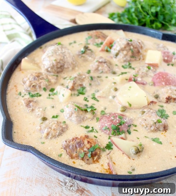 Freshly prepared German meatballs and potatoes in a creamy white caper sauce, ready to be served.
