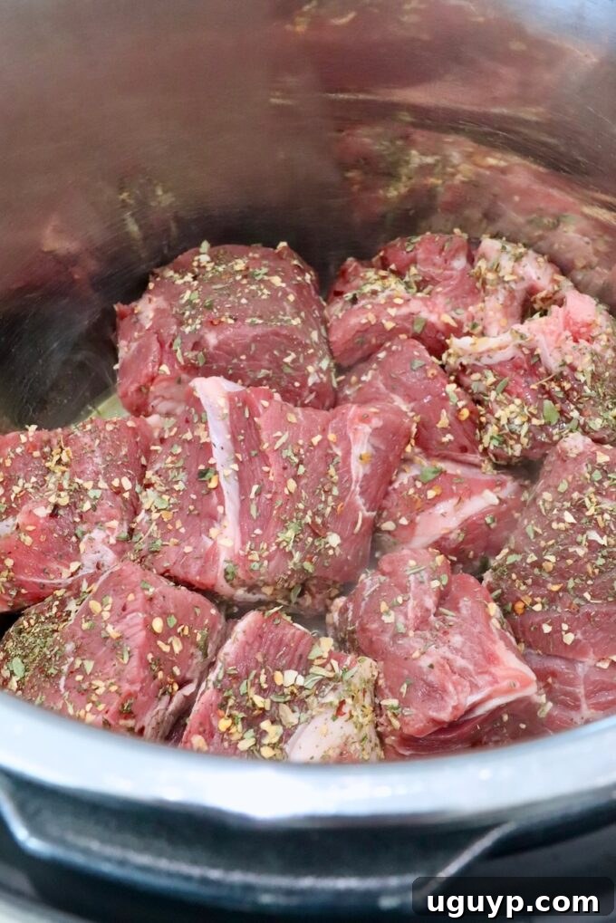 Large chunks of beef chuck roast seasoned with Italian seasoning inside an Instant Pot.