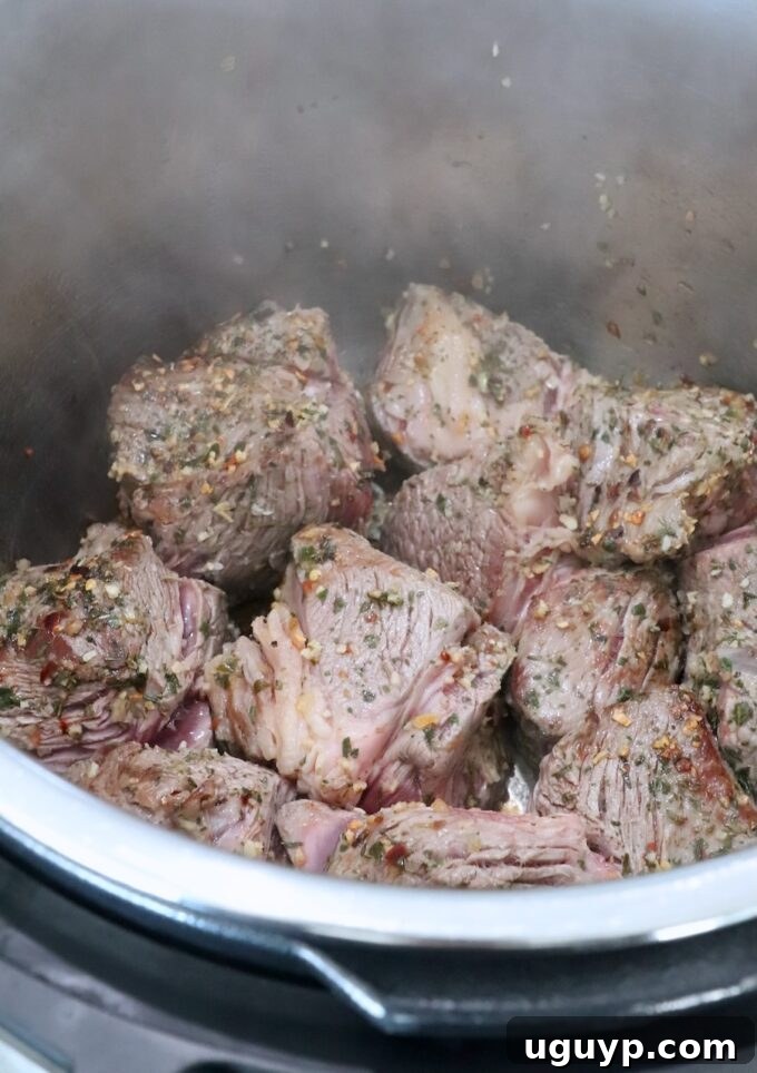 Seared and browned chunks of beef chuck roast resting in the Instant Pot after initial cooking.