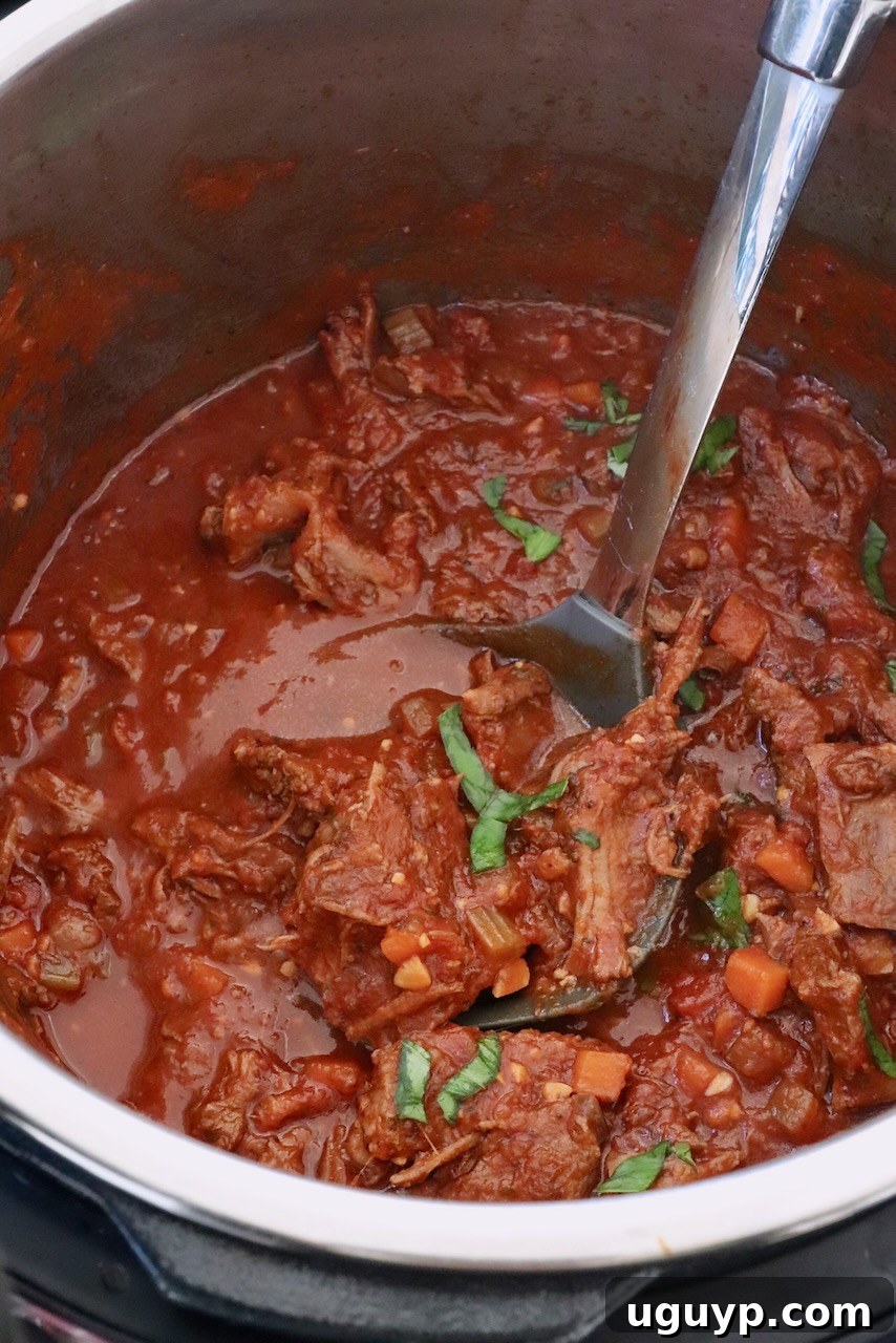 Rich, shredded Instant Pot Beef Ragu sauce in the pressure cooker with a large serving spoon, ready to be dished out.