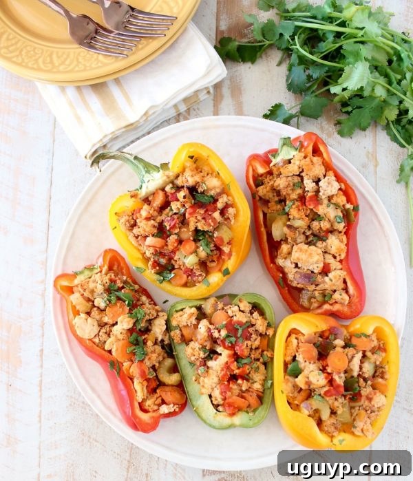 An overhead shot of two buffalo chicken stuffed peppers on a clean white plate, artfully garnished with fresh cilantro for a vibrant finish.