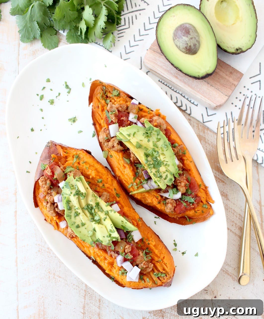 baked sweet potato cut in half and topped with chili and sliced avocado on a white plate