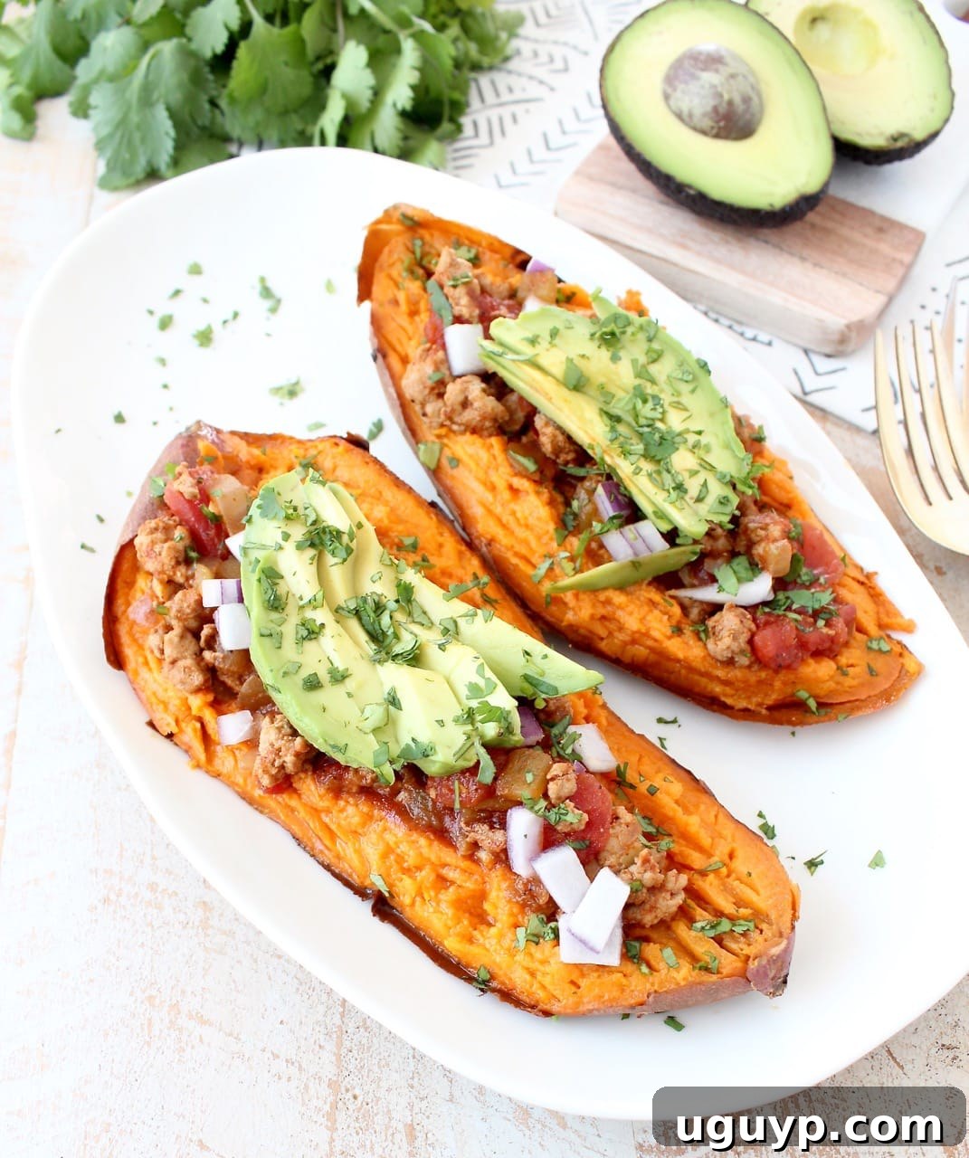 baked sweet potato sliced in half on white plate, topped with chili, avocado and cilantro