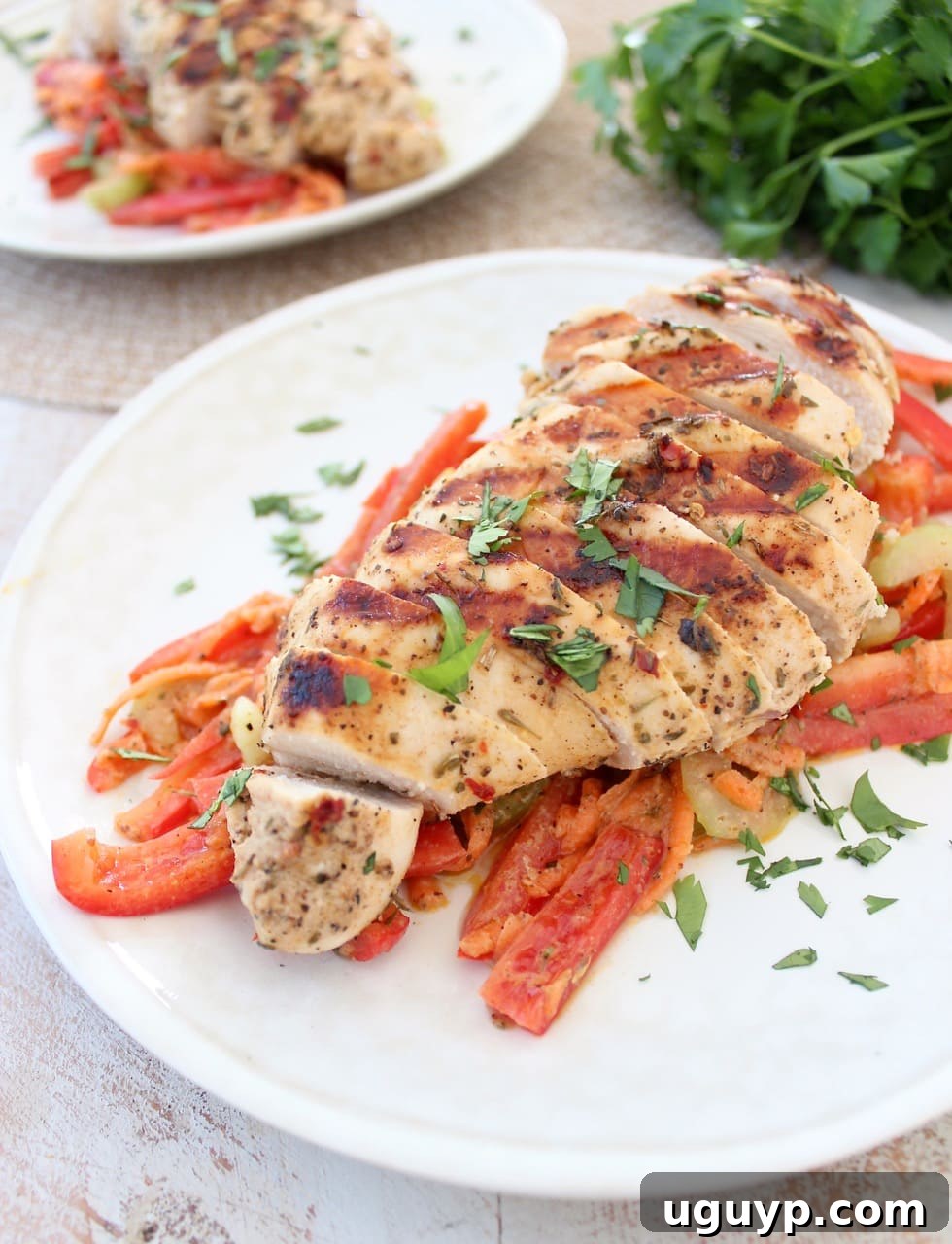 Sliced grilled chicken on top of vibrant bell pepper slaw, elegantly arranged on a clean white plate, ready to be enjoyed.