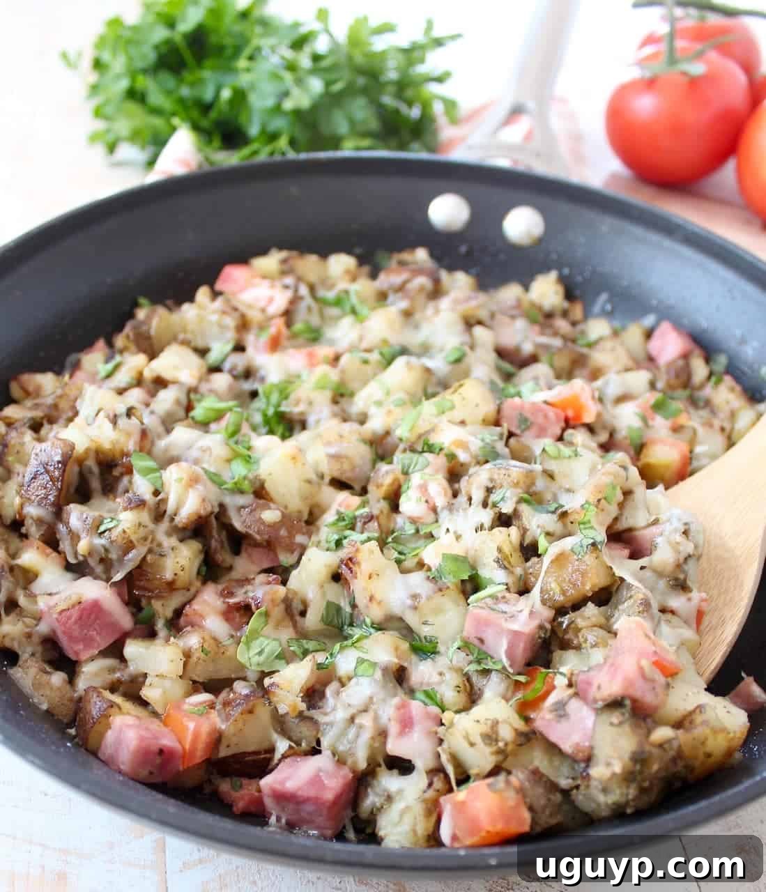 A beautifully plated Italian ham hash, topped with fresh mozzarella and basil, highlighting its vibrant colors and delicious appeal as a quick breakfast or hearty brunch.