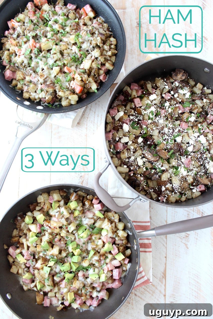 Three distinct bowls of ham hash, visually showcasing the vibrant Italian, spicy Mexican, and savory Greek variations side-by-side, emphasizing the recipe's versatility and appeal.