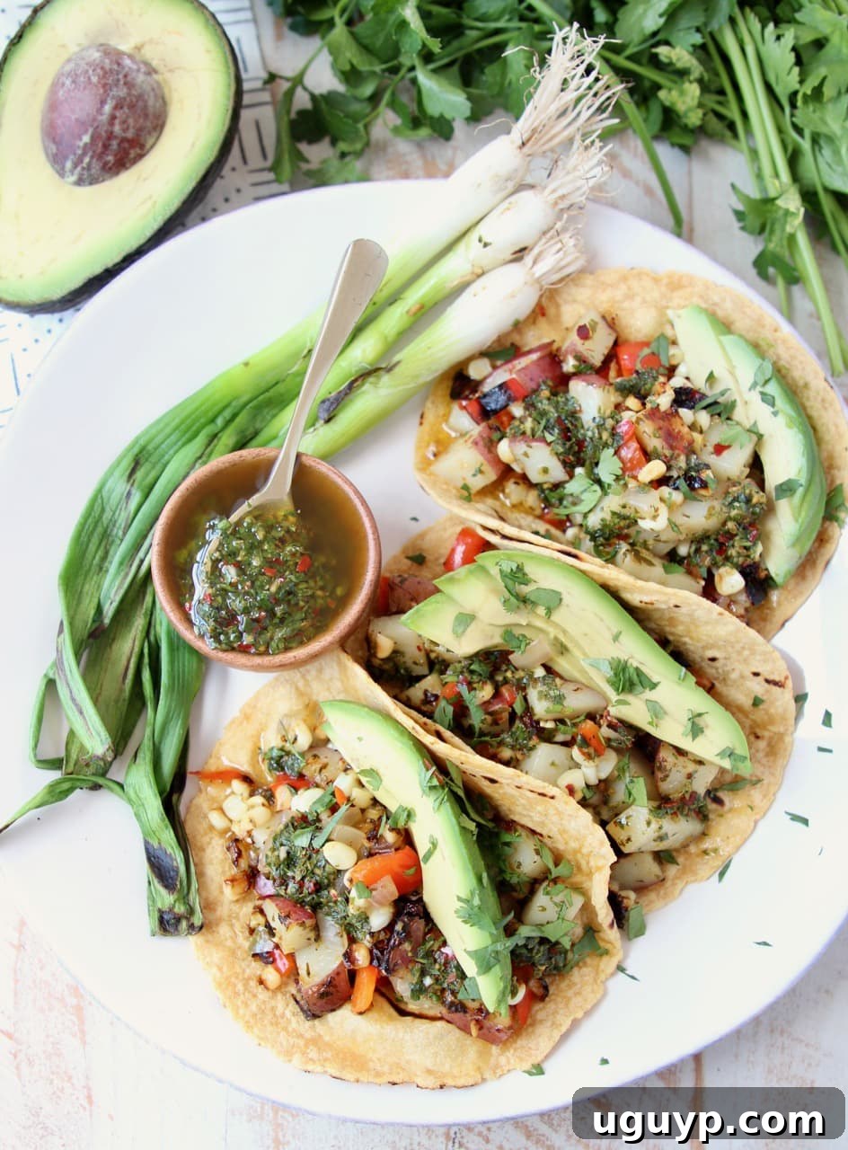 Appetizing Vegan Tacos on warm corn tortillas, generously filled with grilled vegetables, fresh avocado, and a luscious drizzle of chimichurri sauce.
