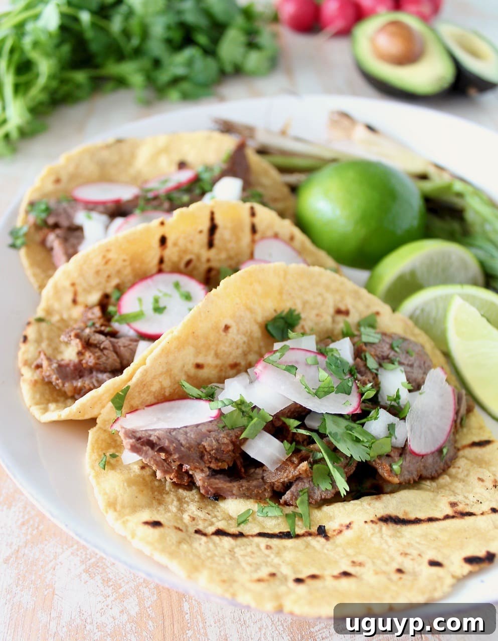A plate of traditional Carne Asada Tacos, generously topped with fresh cilantro, diced white onion, and crisp radishes for texture and flavor.