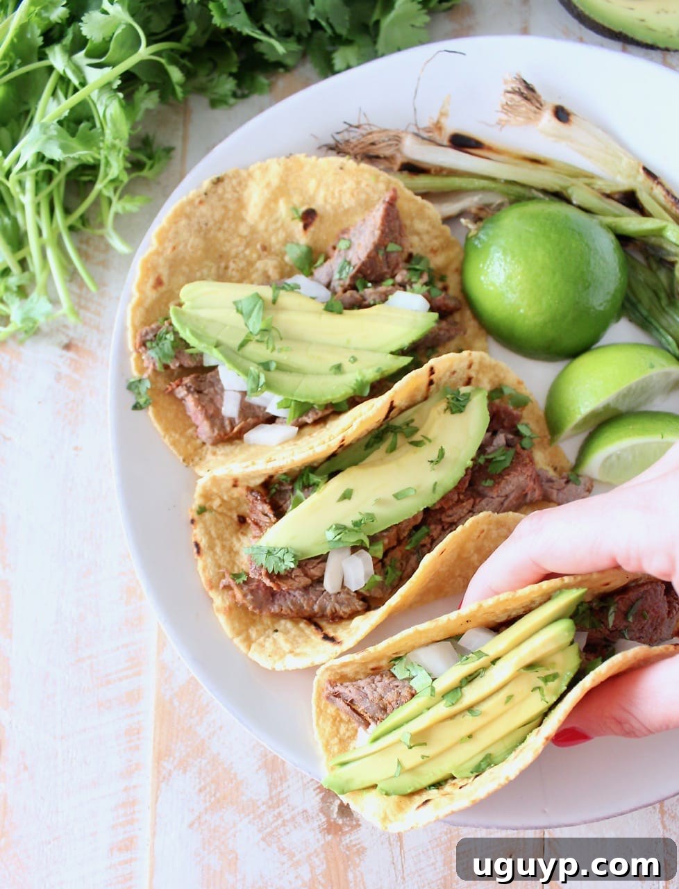 A hand holds a perfectly assembled Carne Asada Taco, topped with fresh avocado slices, showcasing its irresistible appeal.