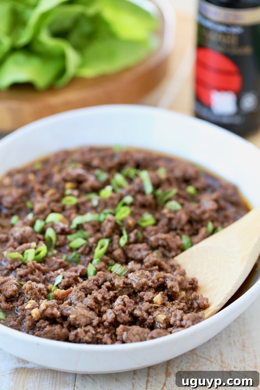 Korean BBQ Beef in a Bowl with Diced Scallions