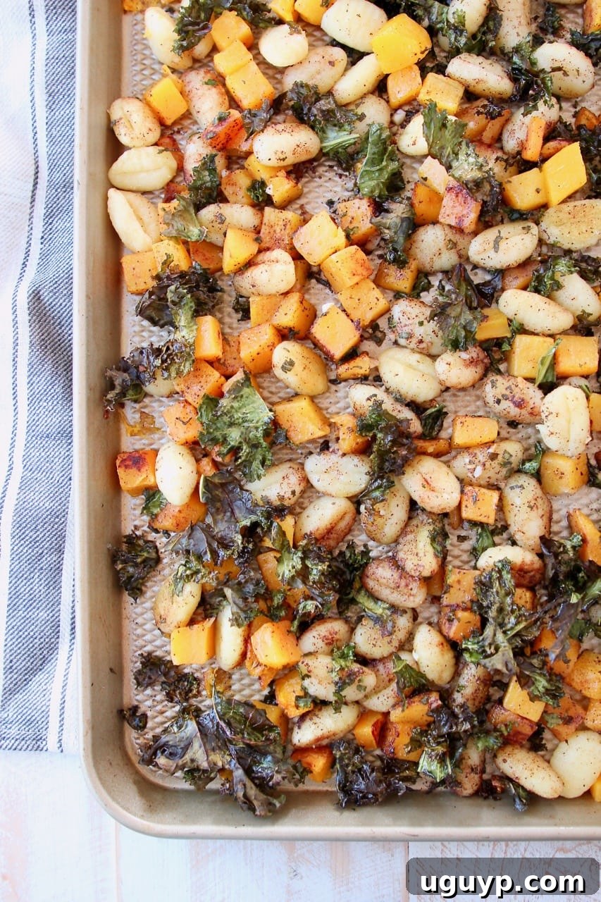 The Sheet Pan Gnocchi with butternut squash and kale ready for the oven, spread out on a baking sheet with a gray striped towel nearby.