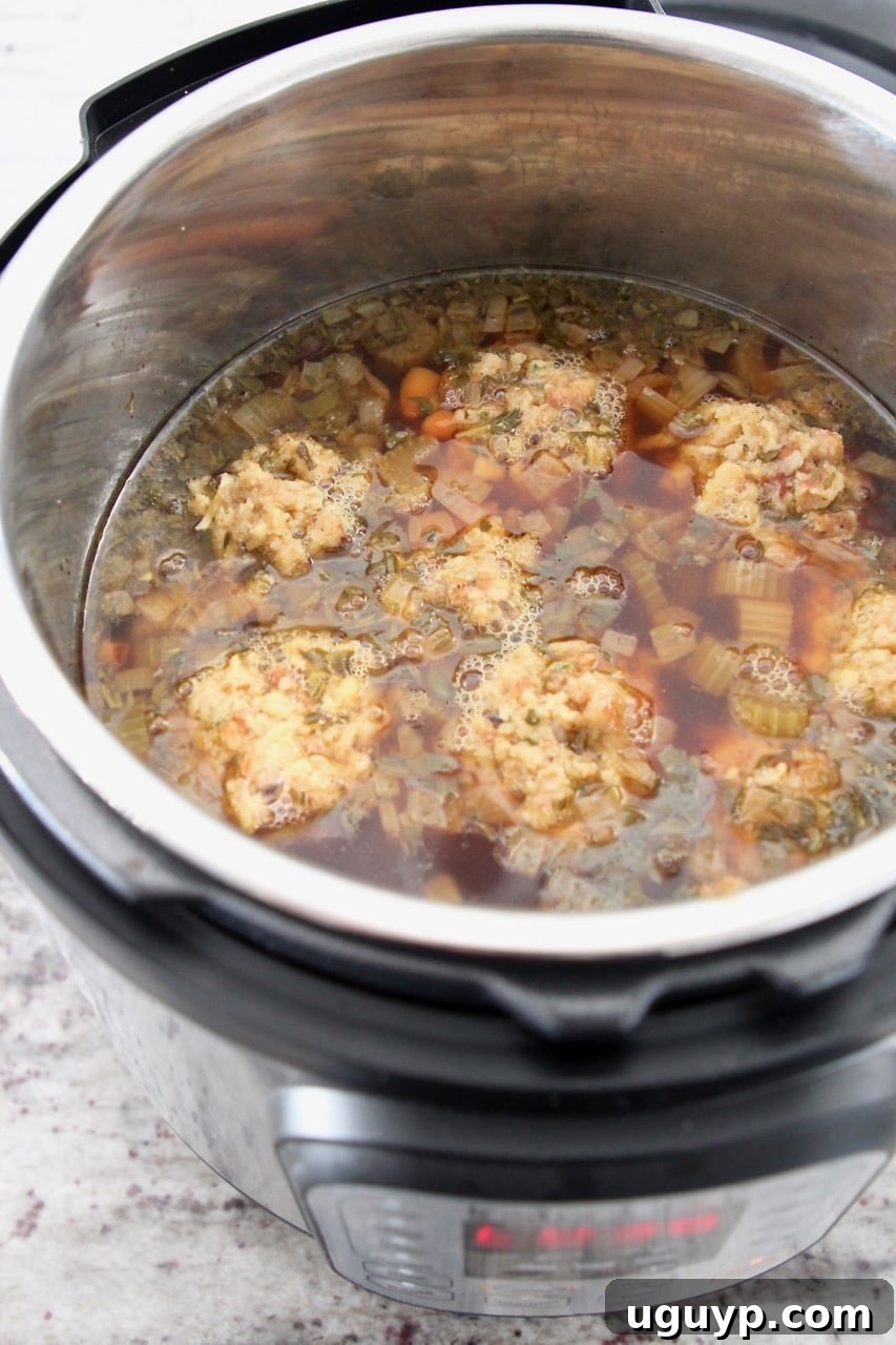 Turkey soup with stuffing dumplings simmering in an Instant Pot, ready to be served.
