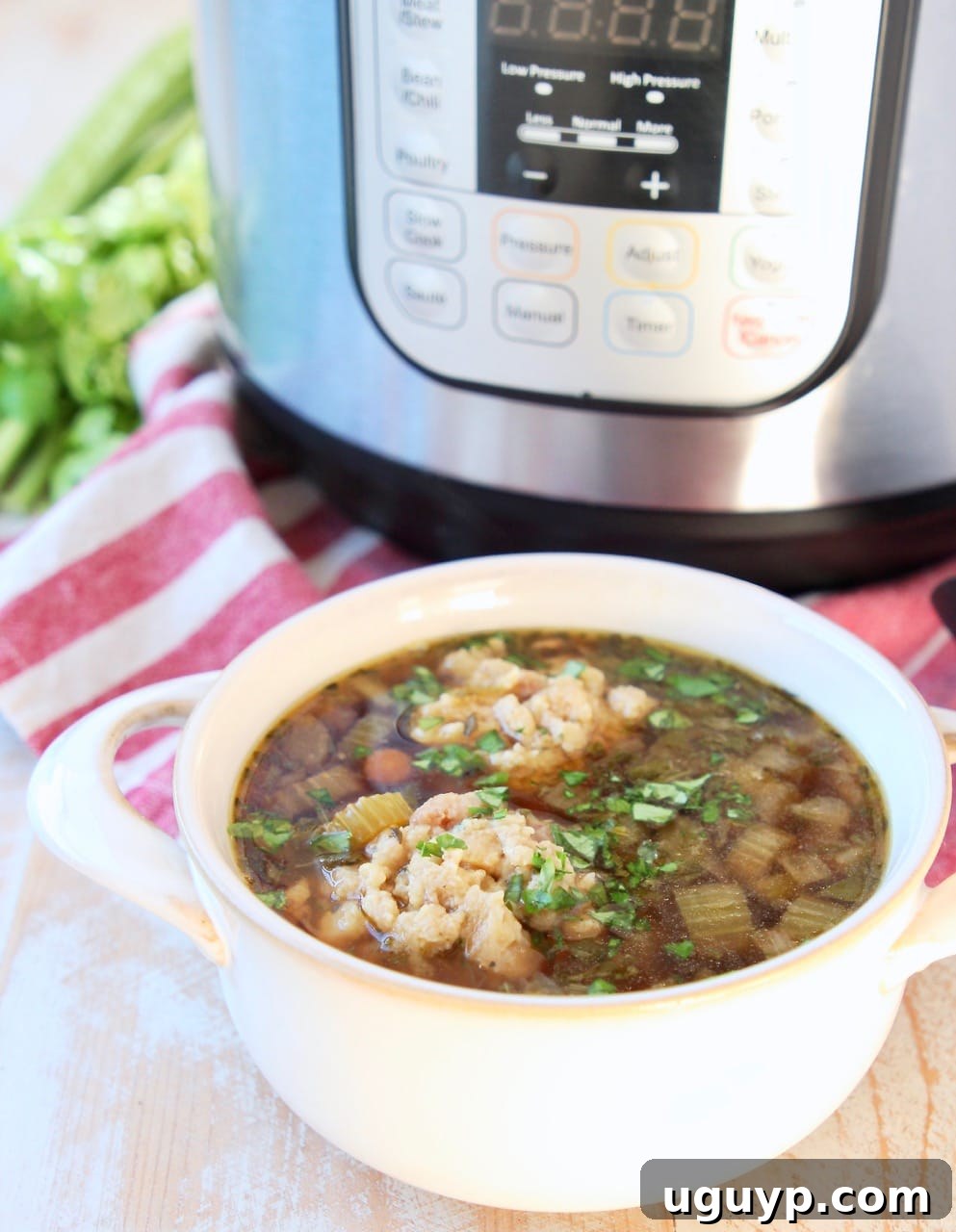 A bowl of Instant Pot Turkey Soup with stuffing dumplings, resting on a red and white striped towel, with an Instant Pot and fresh celery in the background.