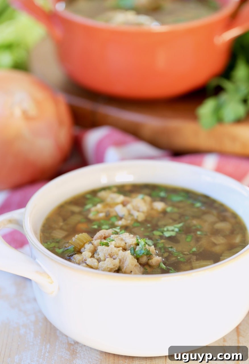 Comforting leftover turkey soup with stuffing dumplings served in two bowls, accompanied by fresh celery and yellow onion on a red and white striped towel.