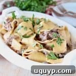 Beef Stroganoff with wide egg noodles topped with fresh parsley in white oval serving dish with fresh parsley bundle in background