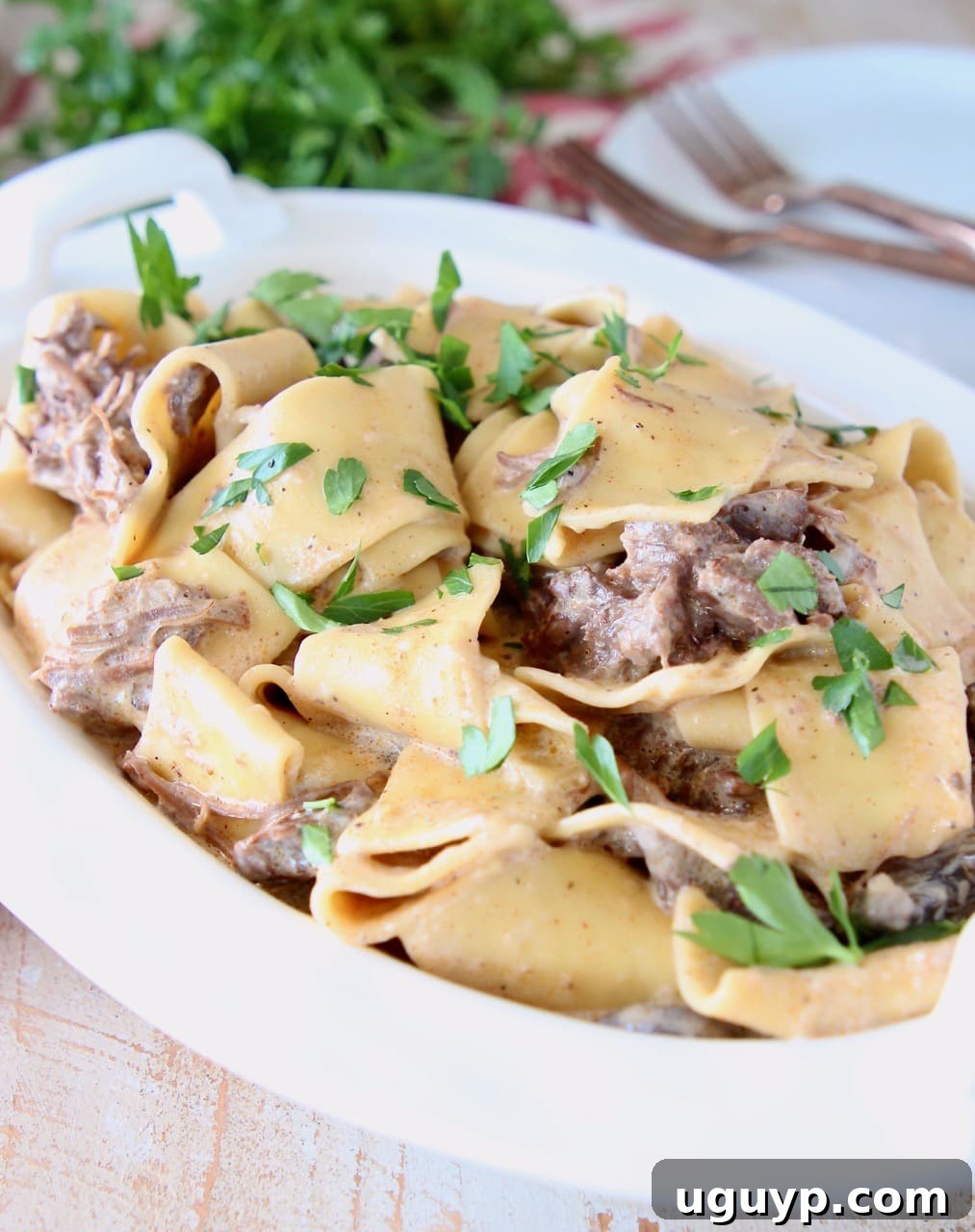 Beef stroganoff with wide egg noodles and fresh parsley in white serving dish, sitting on a red and white striped towel