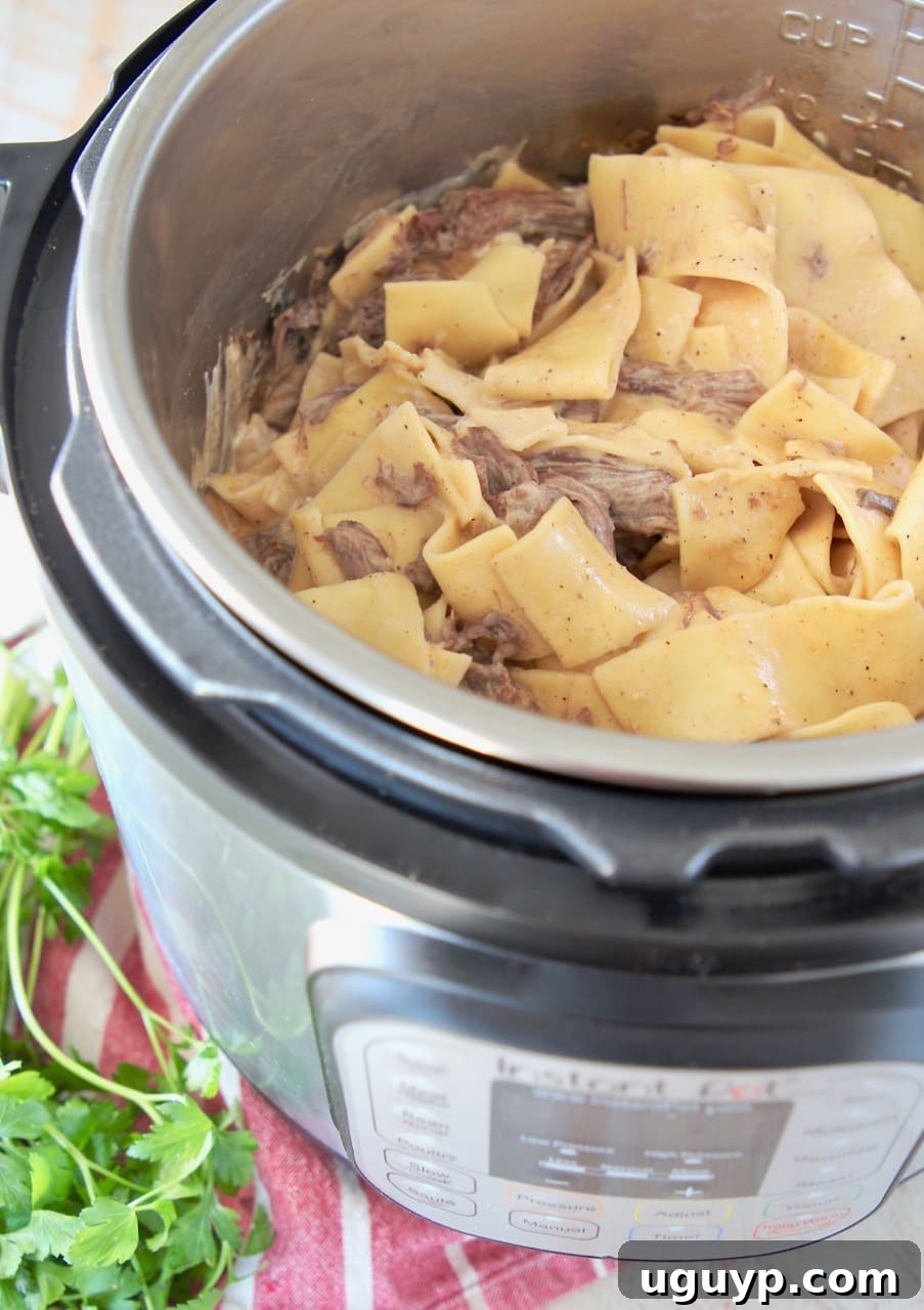 Beef stroganoff with wide egg noodles in instant pot on red and white striped towel with fresh parsley on the side