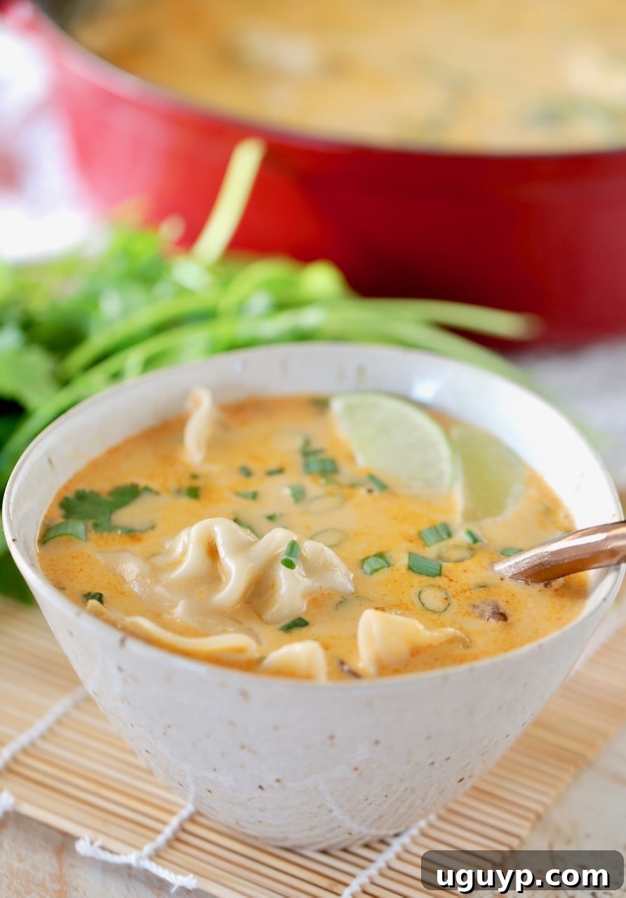 Thai coconut soup with potstickers in bowl, with red pot in background and fresh cilantro