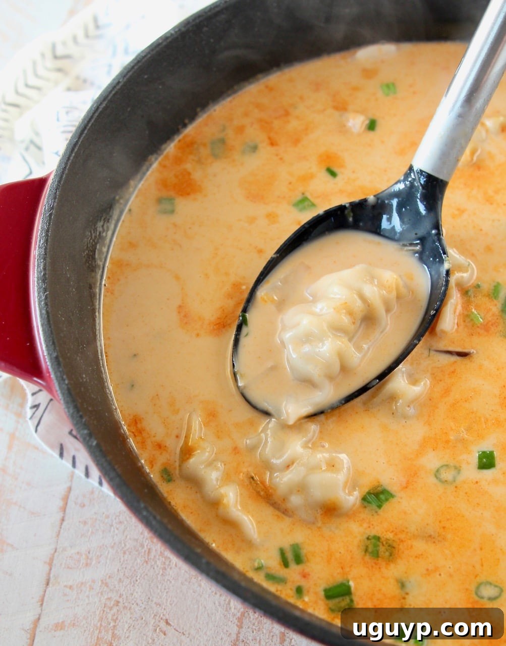 Thai coconut soup with potstickers in large red cast iron pot with spoon coming out of soup holding a potsticker