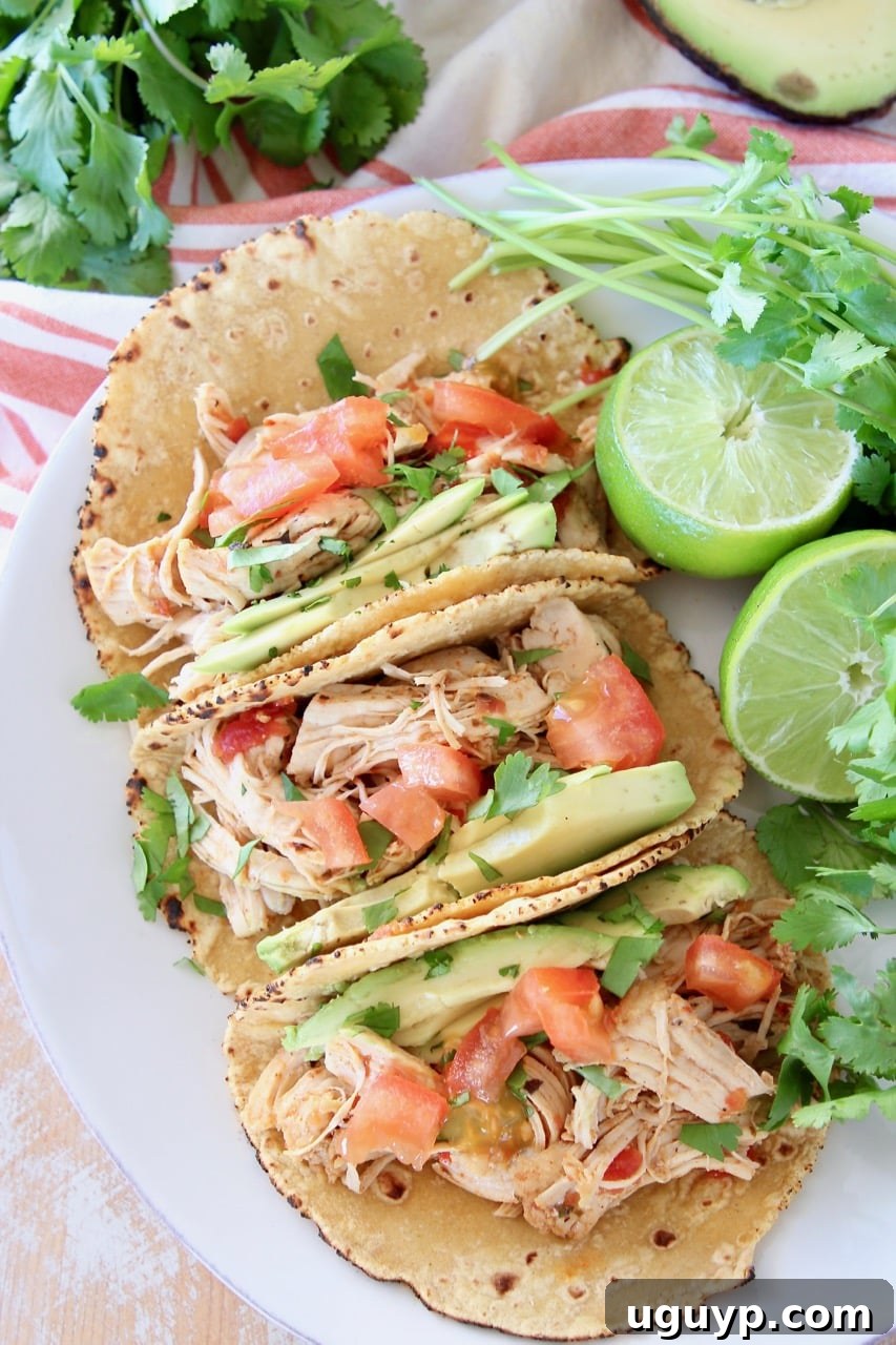 Overhead shot of shredded chicken tacos in corn tortillas on white plate with cilantro and limes, emphasizing quick preparation in an Instant Pot