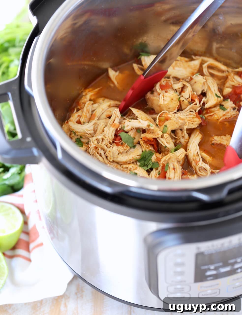 Shredded taco chicken in Instant Pot with red tongs and cilantro, demonstrating easy shredding technique