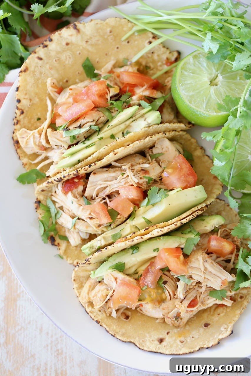 Shredded pressure cooker chicken tacos in corn tortillas on white plate with cilantro and lime, showcasing a perfect gluten-free meal option