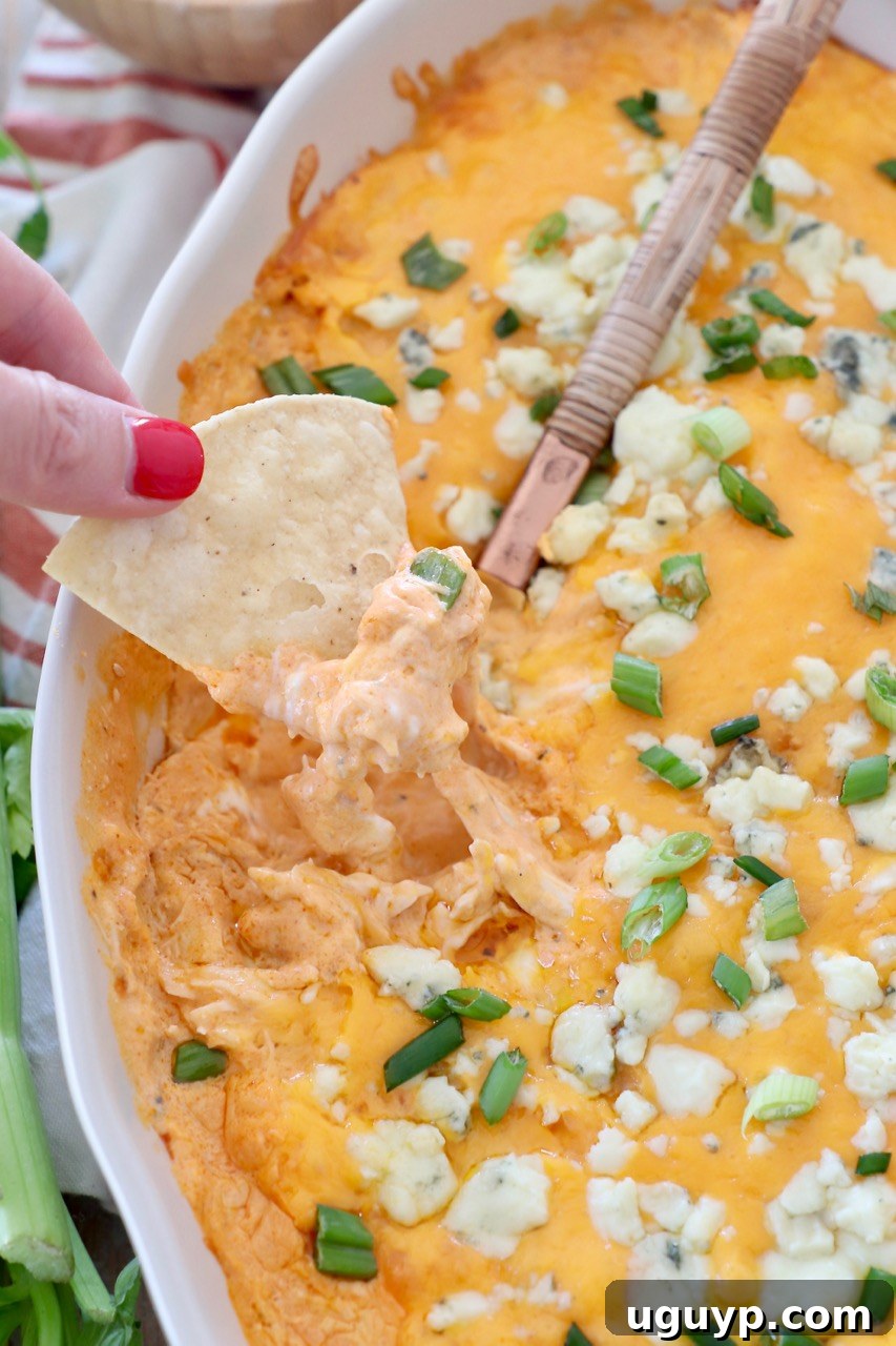 hand lifting chip out of buffalo chicken dip in baking dish, showcasing its creamy, cheesy texture