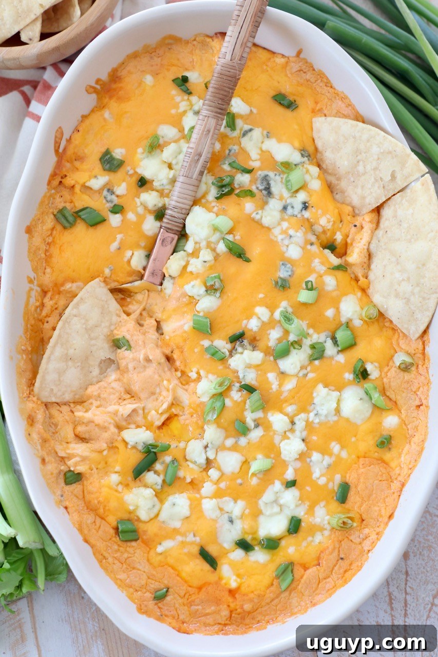 buffalo chicken dip in oval baking dish, surrounded by various dipping options like tortilla chips