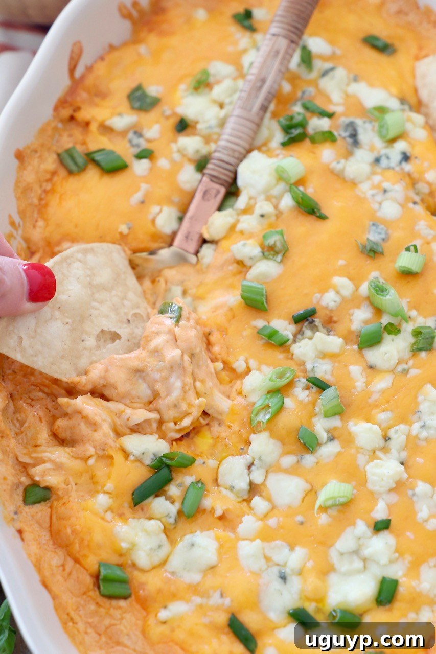 hand dipping tortilla chip into warm, cheesy buffalo chicken dip