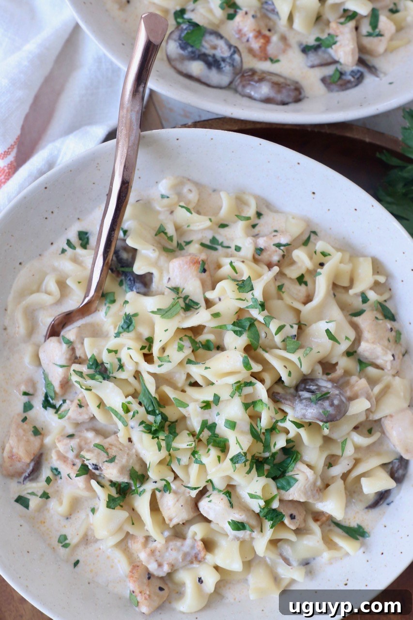 Creamy Instant Pot Chicken Stroganoff in a bowl with a fork, ready to eat.
