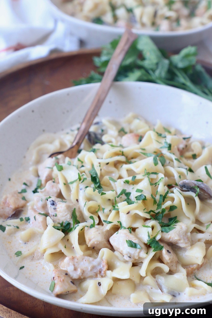 Close-up of creamy Instant Pot Chicken Stroganoff in a white bowl, showing chicken, noodles, and mushrooms.
