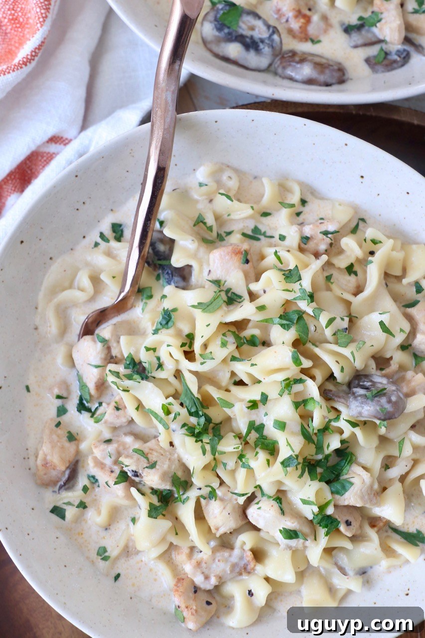 Generous serving of Instant Pot Chicken Stroganoff in a bowl, showing the creamy noodles, chicken, and mushrooms.