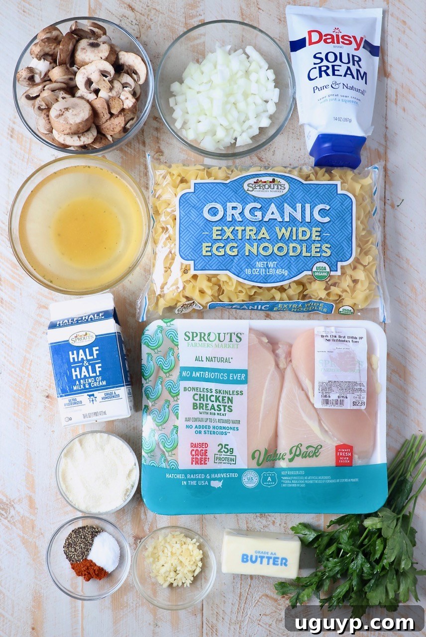 Ingredients for Instant Pot Chicken Stroganoff laid out on a kitchen counter, showcasing fresh produce and dairy.